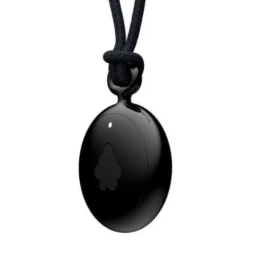 Fieldy Wearable AI Recorder